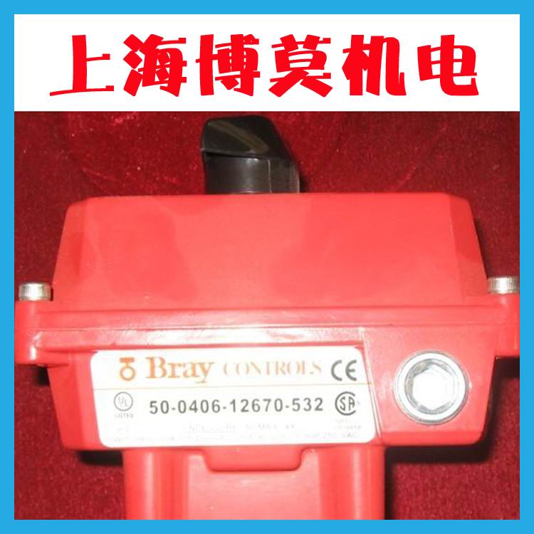 ����Bray��Ӎ��