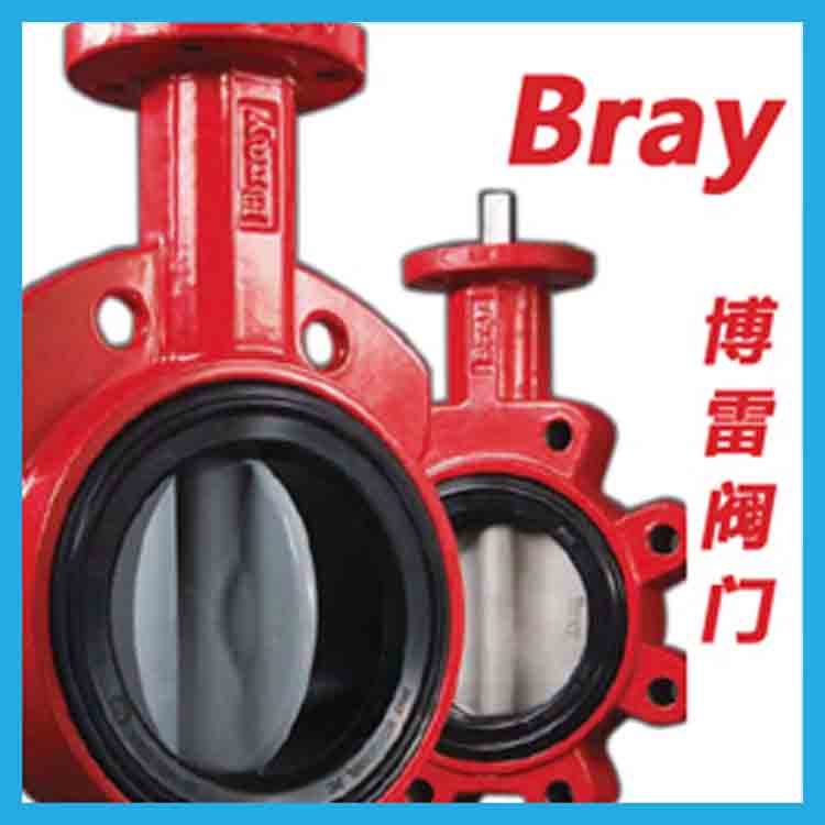 ���ף�Bray��S30/S31