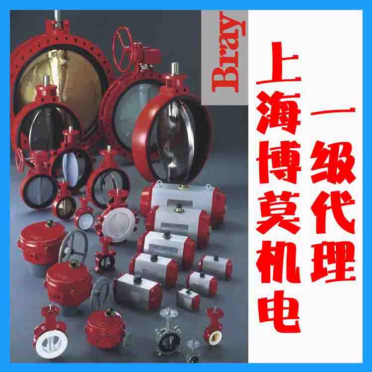 ���ף�Bray�����y