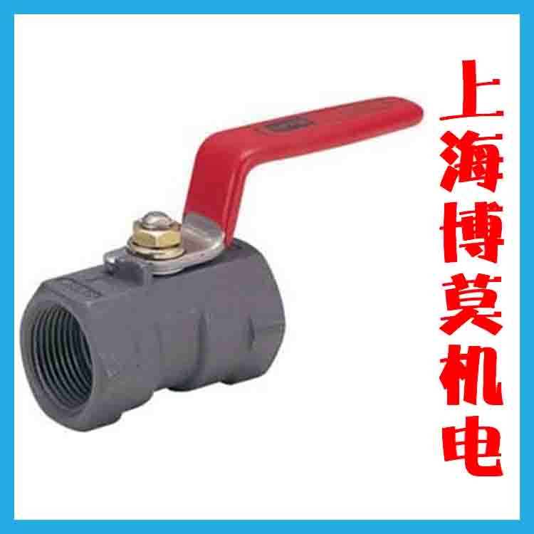 Kitz-�_Ɲ-�������y12